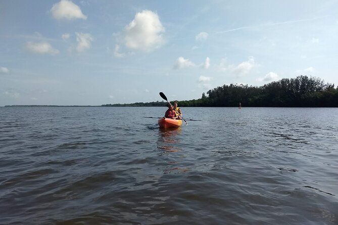 Sunset kayaking tour at Manatee Cove with Manatee & Dolphin sightings - Kayak Setup and Comfort: Single vs Tandem, Plus the Basics