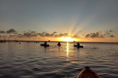 Sunset kayaking tour at Manatee Cove with Manatee & Dolphin sightings - The Small-Group Feel: Less Chaos, More Paddling Time