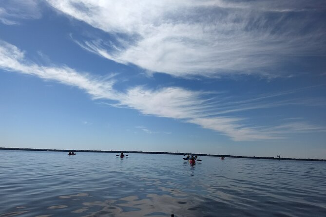 Sunset kayaking tour at Manatee Cove with Manatee & Dolphin sightings - Manatee Cove Ecosystem: Mangroves, Birds, and the “Why” Behind the Stop