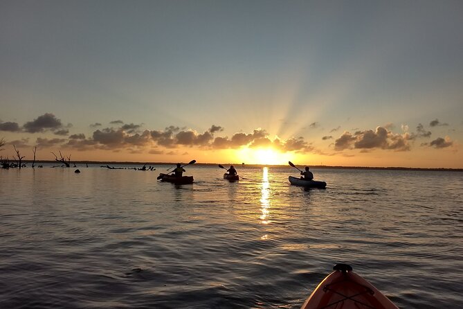 Sunset kayaking tour at Manatee Cove with Manatee & Dolphin sightings - The Small-Group Feel: Less Chaos, More Paddling Time
