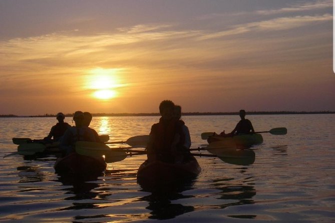 Sunset Kayaking w/ Florida Bioluminescence Combo Tour | Haulover canal - The 2-hour flow on the water: what the night rhythm feels like