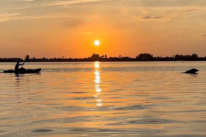 Sunset Kayaking with Dolphins - Key Points to Know Before You Go