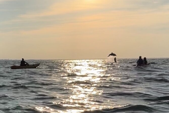 Sunset Kayaking with Dolphins - Guides Make or Break It (And Here, They’re the Real Strength)