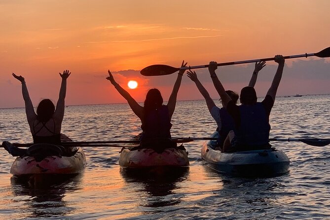 Sunset Kayaking with Dolphins - Price and Value: Is $60 Worth It?