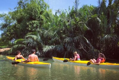 Sunset Paddle and Lantern Town - Paddling Skills: Easy Coaching, Real Confidence