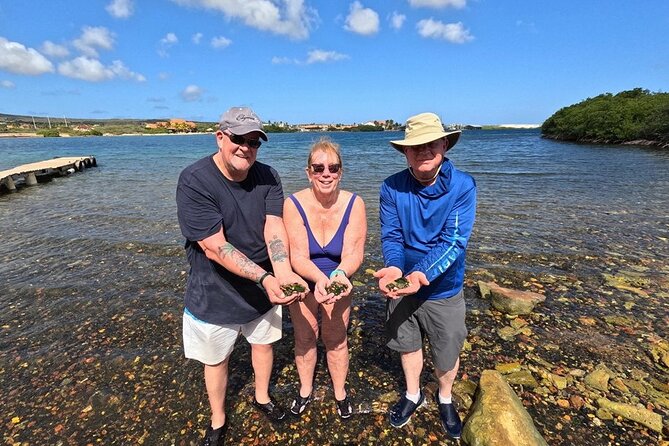 Sunset Sea Glass Island Kayak Tour - The Sea Glass Island Paddle: Short, Scenic, and Doable