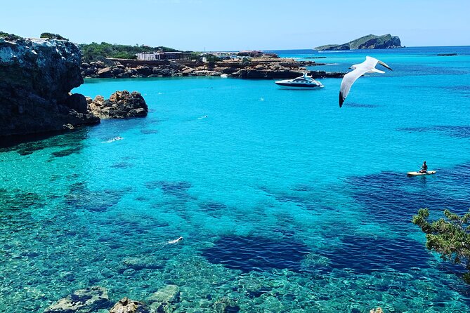 SUP Adventure Ibiza (stand up paddle & snorkeling) VIP TOUR - Practical tips so you get the most from your 3 hours