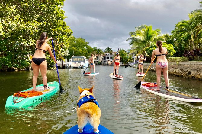 SUP PUP Paddleboard Tour - Key Things to Know Before You Go