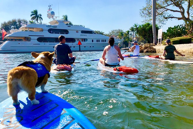 SUP PUP Paddleboard Tour - Meet Natasha and Mr. Beaches: Instruction That Keeps You Comfortable