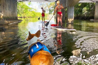 SUP PUP Paddleboard Tour - From 1313 SW 5th Ct to Million-Dollar Homes and Yachts