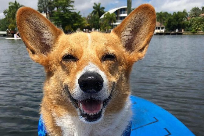 SUP PUP Paddleboard Tour - What to Wear and Bring for a Better SUP Experience (and Better Photos)