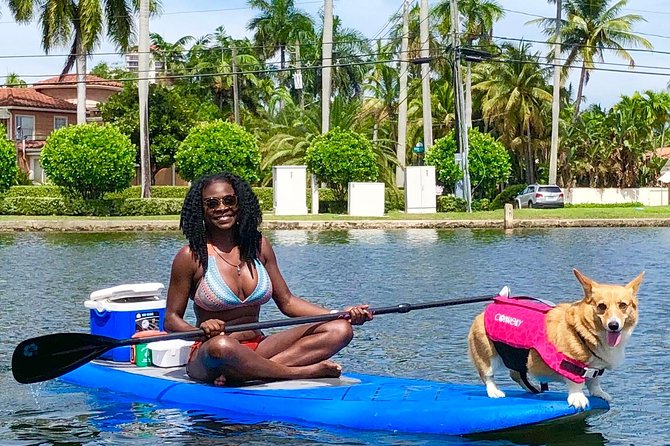 SUP PUP Paddleboard Tour - Who This Tour Fits: Active Swimmers, Friends, and First-Timers