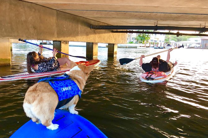 SUP PUP Paddleboard Tour - Finding the Spot and Getting There Without Stress