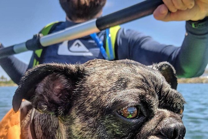 SUP Rental - SUP Rental at Liberty Station: A Simple Way to See San Diego From the Water