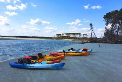 SUP (stand-up paddboard) Salt Marsh Maze Tour - What Happens on the Water: Lesson, Demo, and a Real Route