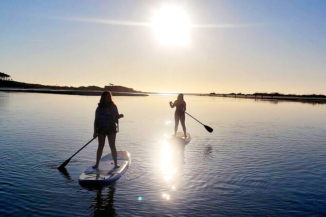 SUP (stand-up paddboard) Salt Marsh Maze Tour - Guides Make the Difference: Support That Keeps You Relaxed