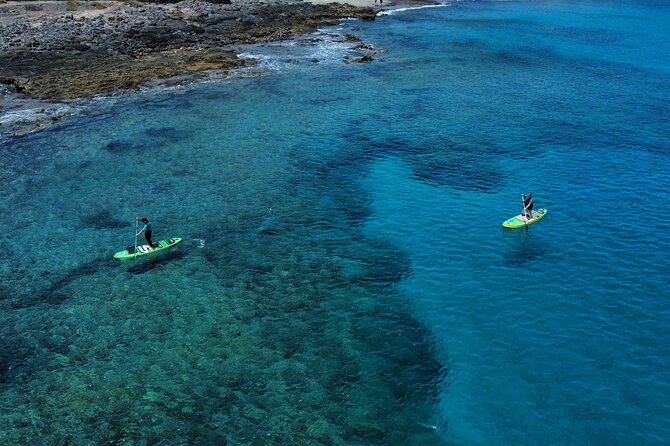 SUP Standup Paddling and Snorkeling Shared Experience - Price and value: is $58.87 worth it?