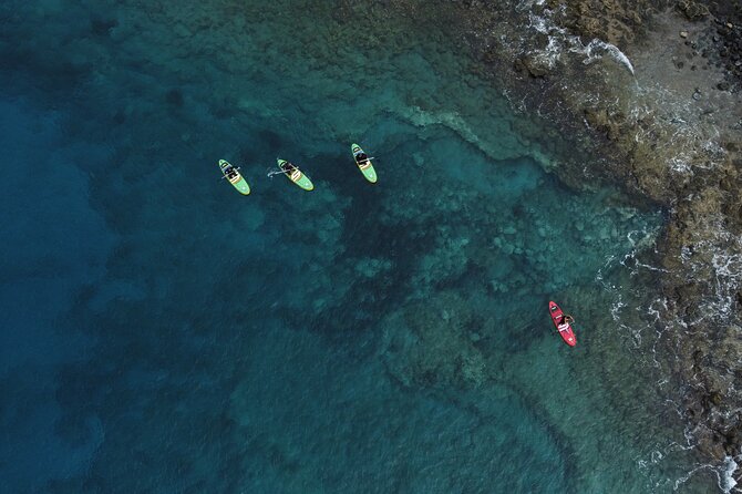 SUP Standup Paddling and Snorkeling Shared Experience - Weather, wind, and what to bring so the day stays fun