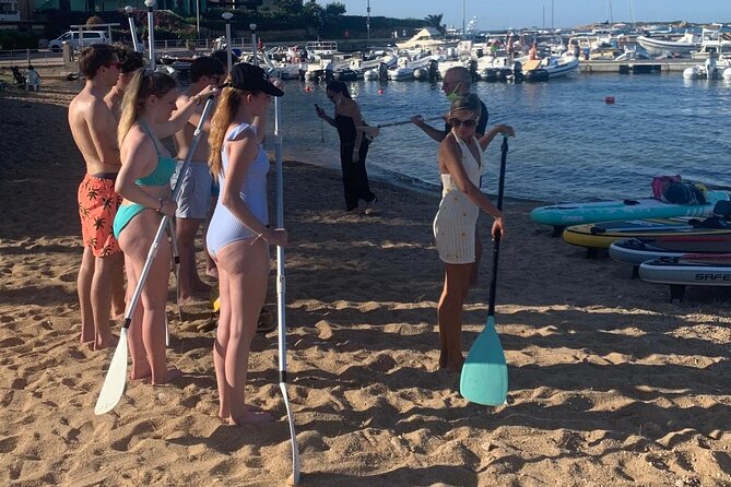 SUP Tour Experience Sunrise or Sunset breakfast or aperitif Olbia - Wildlife sightings: what you can expect (and how to handle it)