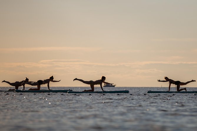 SUP Yoga in Pula: Flow on Water - Key things to know before you go