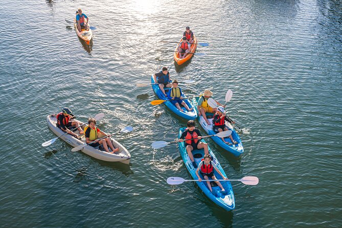 Surfers Paradise Sunset Kayak Tour - Price and Value: Is $53.65 Worth It?