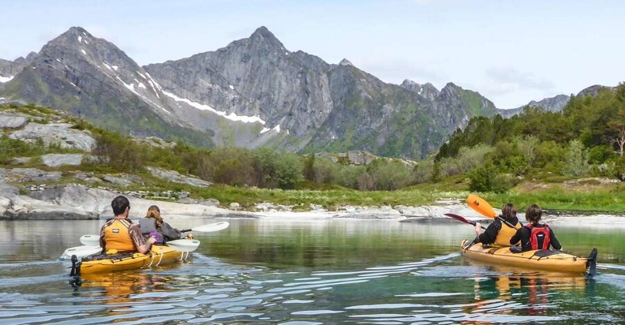 Svolvaer: Sea Kayaking Experience - What You’ll See: Lofoten Flora, Fauna, and Coastal Bird Life