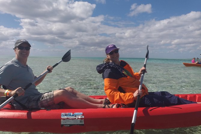 Sweetings Cay Mangrove Kayaking and Turtles - Price and value: how $90 turns into a full day plan