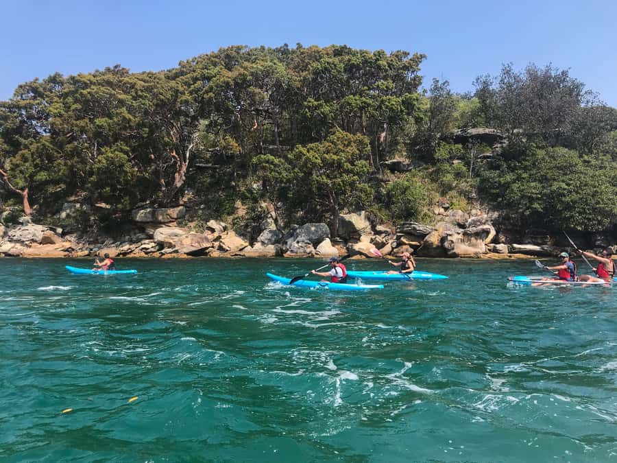 Sydney: Guided Kayak Tour of Manly Cove Beaches - Entering Manly Cove From Manly Sailing