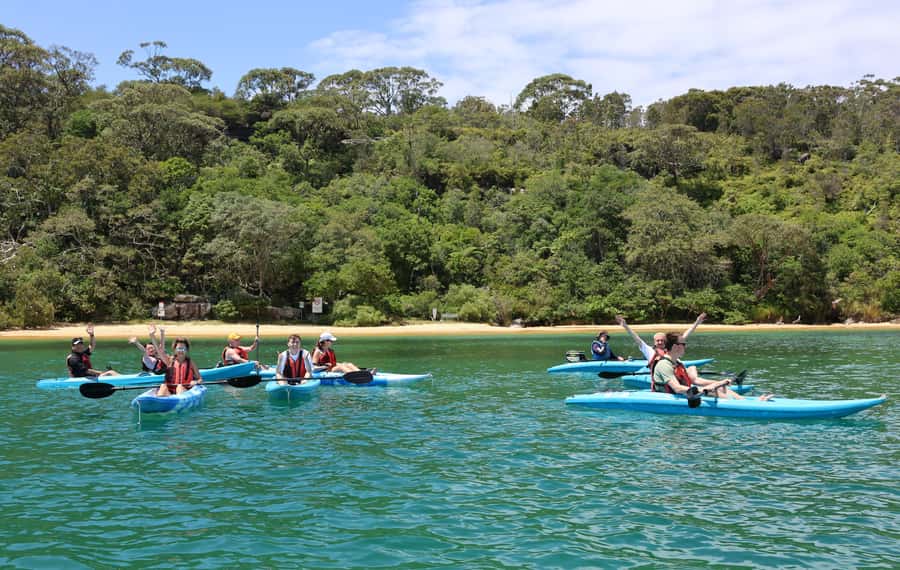 Sydney: Guided Kayak Tour of Manly Cove Beaches - Collins Flat and Store Beach: Caves, Mini Waterfalls, and Rocks