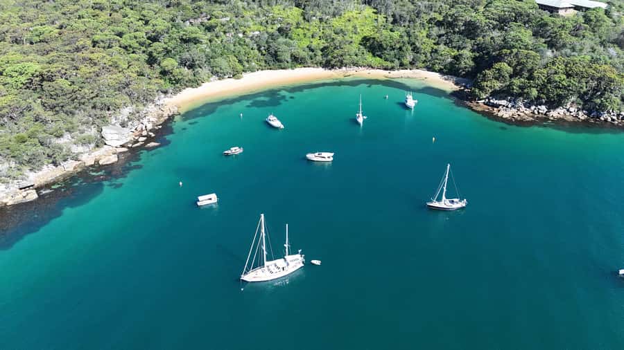 Sydney: Guided Kayak Tour of Manly Cove Beaches - Who This Manly Cove Kayak Tour Suits Best