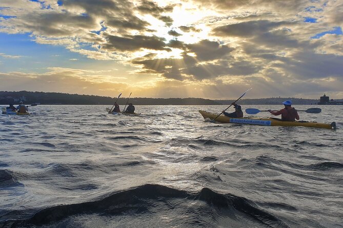 Sydney Harbour Bridge Kayak & Breakfast Tour - Meeting at Quibaree Park: easy start, quick momentum