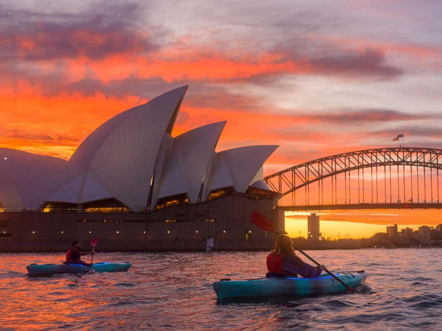 Sydney: Harbour Sunrise Kayak Tour - Key highlights you’ll care about