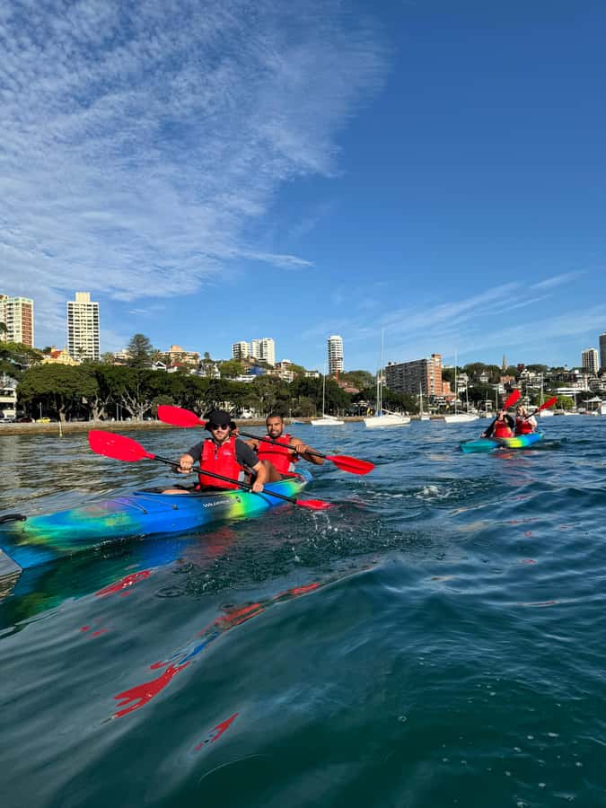 Sydney: Harbour Sunrise Kayak Tour - What you’re really doing on this Sydney sunrise kayak