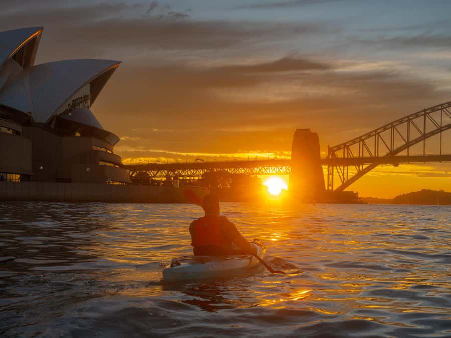 Sydney: Harbour Sunrise Kayak Tour - Dolphin and marine life watching without turning the tour into a gamble