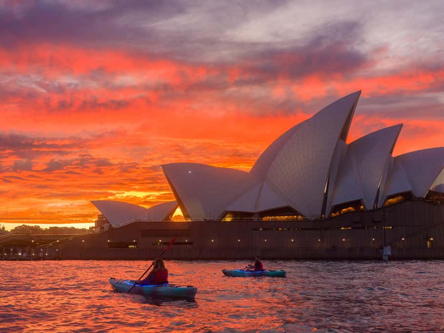 Sydney: Harbour Sunrise Kayak Tour - Coffee and pastry at Navy Bear Cafe: the payoff after paddling