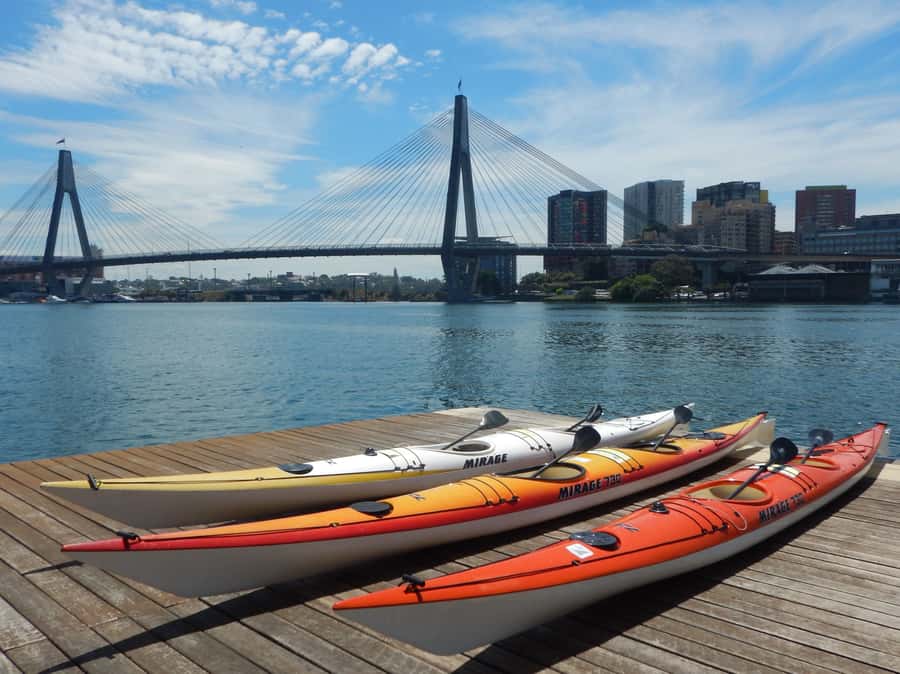 Sydney: Kayak to Goat Island At The Heart of Sydney Harbour - What you’ll see while you paddle: harbour life at arm’s length
