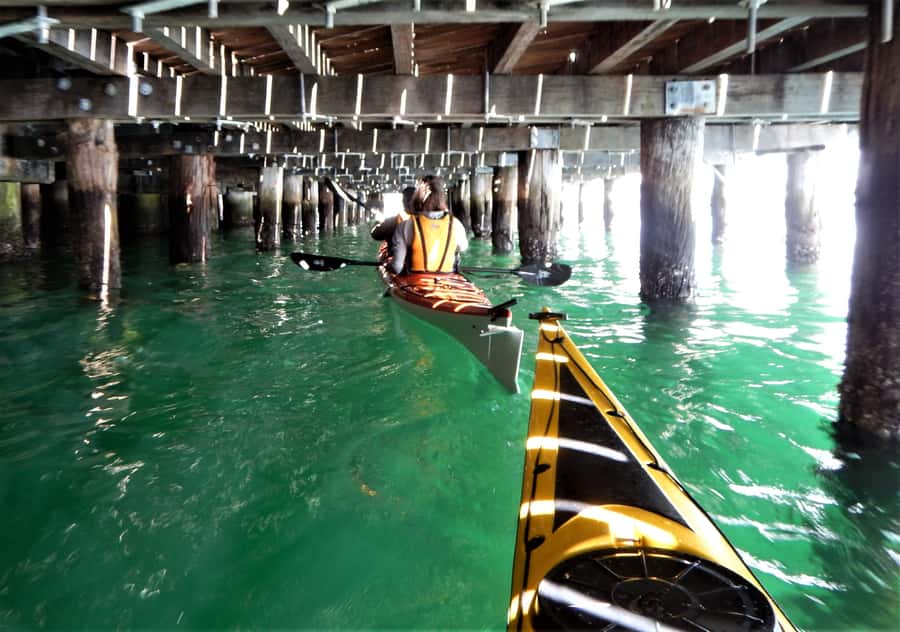 Sydney: Kayak to Goat Island At The Heart of Sydney Harbour - Price and value: why $101 can feel fair here