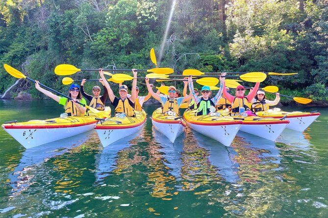 Sydney's Middle Harbour Sea Kayaking Eco Tour (Fully Guided) - Garigal National Park On-Water: What the Eco Part Feels Like