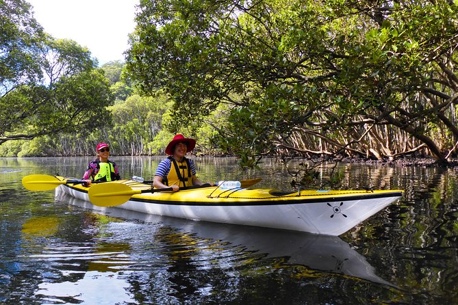 Sydney's Middle Harbour Sea Kayaking Eco Tour (Fully Guided) - Wildlife Watching: How to Enjoy It Without Turning It Into a Trap