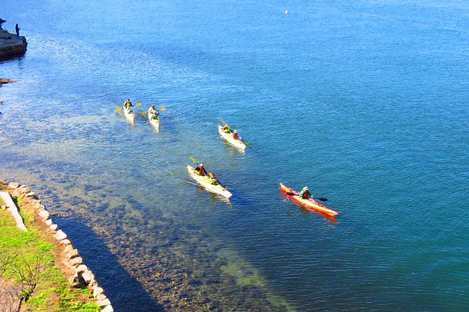Sydney's Middle Harbour Sea Kayaking Eco Tour (Fully Guided) - Safety Briefing and Equipment: Short, Practical, and Built for First-Timers