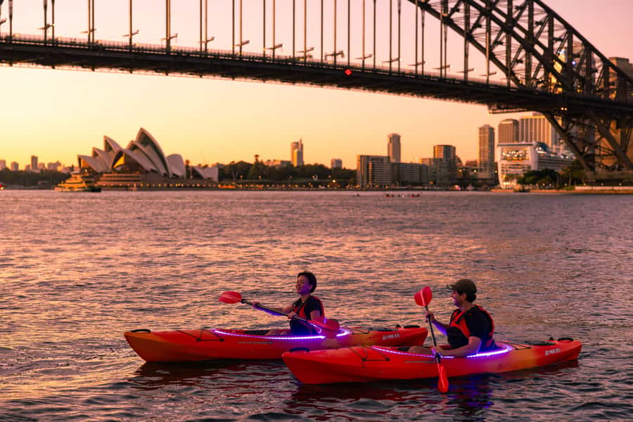 Sydney: Sunrise Kayak, Opera House & Under Harbour Bridge - Key highlights worth your early-morning alarm