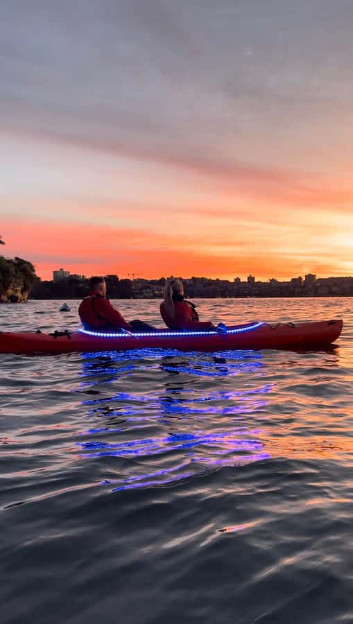 Sydney: Sunrise Kayak, Opera House & Under Harbour Bridge - Harbour Bridge time: that 20-minute window is the payoff