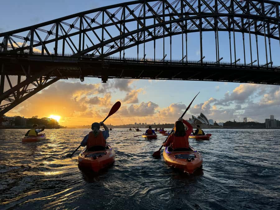 Sydney: Sunrise Kayak, Opera House & Under Harbour Bridge - Price and value: what $126 really buys you