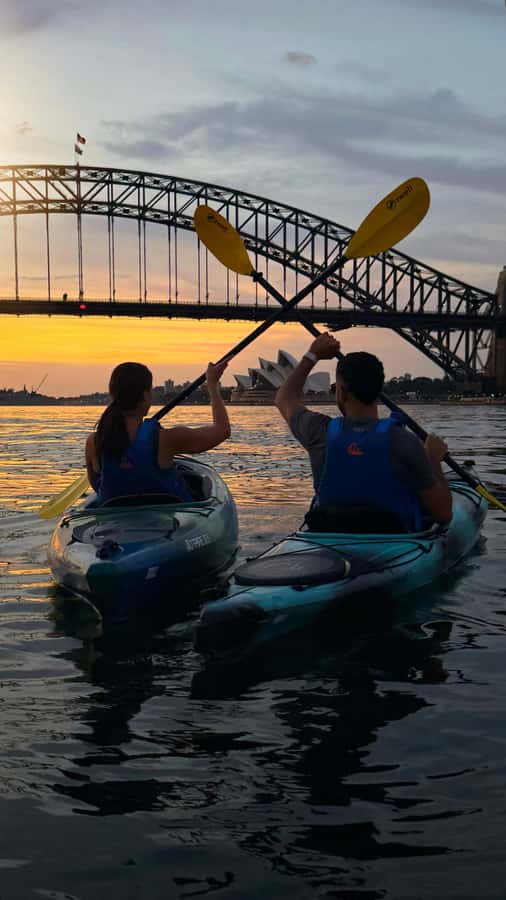Sydney Sunrise Kayak Tour on Sydney Harbour - Photos included, plus real help getting them