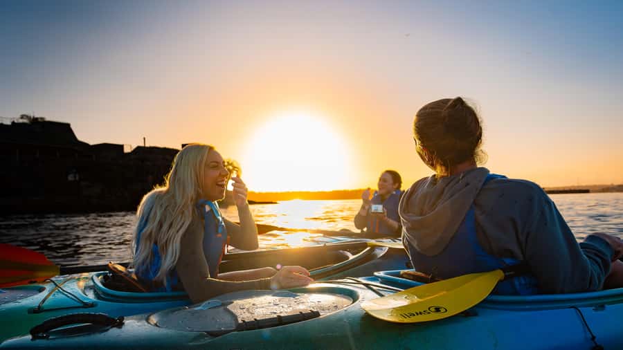 Sydney Sunrise Kayak Tour on Sydney Harbour - FAQ