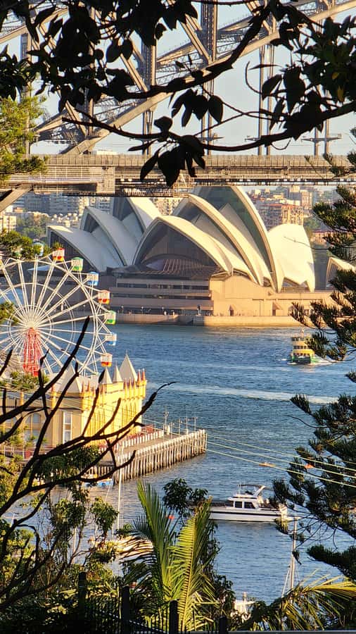 Sydney: Sunset Kayak - Opera & Harbour Bridge Tour (5p. max) - Price and value: what $113 buys you (and why it can be a smart splurge)