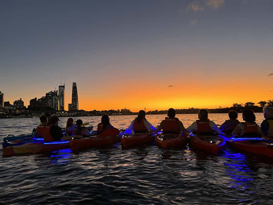 Sydney: Sunset Kayak Tour on Sydney Harbour - Meet at Lavender Bay Boatramp, Under the Railway Arch