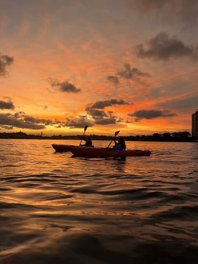 Sydney: Sunset Kayak Tour on Sydney Harbour - Photos and Video Later That Same Evening