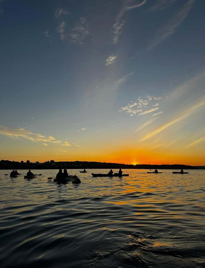Sydney: Sunset Kayak Tour with Opera House Views - Why Sydney Harbour at Sunset Works So Well From a Kayak
