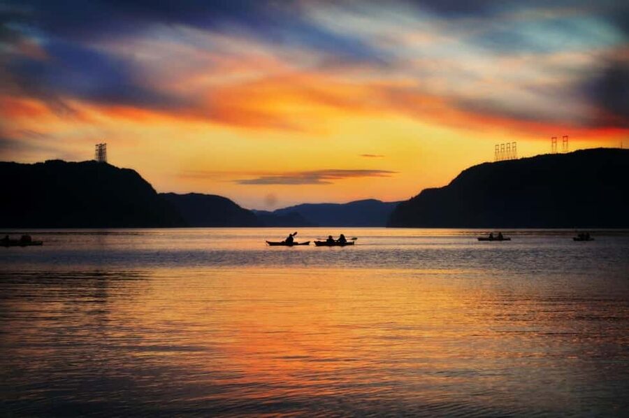 Tadoussac: Guided Sea Kayaking Adventure - Wildlife odds: what you might see and how to watch without wasting the moment